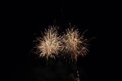 SONY DSC