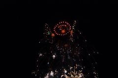 SONY DSC