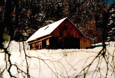 Winter