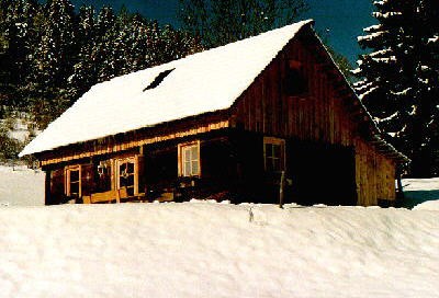 Winter