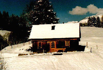 Winter