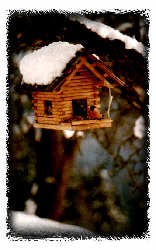 Vogelhaus