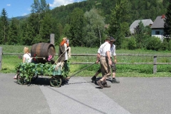 2010-milchwagerlfestzug_051