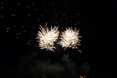 SONY DSC