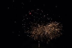 SONY DSC