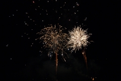 SONY DSC