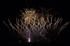 SONY DSC