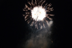 SONY DSC