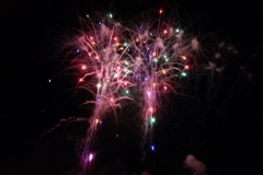 SONY DSC