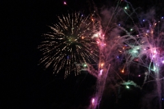 SONY DSC