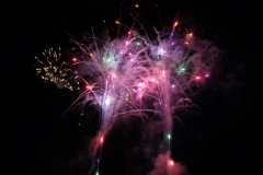 SONY DSC