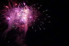 SONY DSC