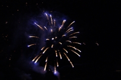 SONY DSC
