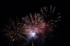 SONY DSC