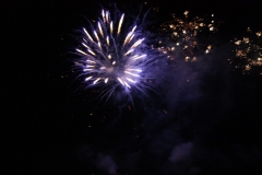 SONY DSC