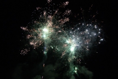 SONY DSC