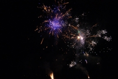 SONY DSC
