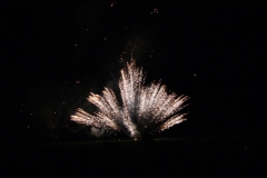 SONY DSC