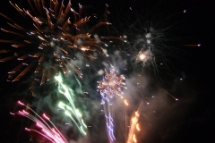 SONY DSC