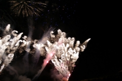 SONY DSC