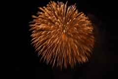 SONY DSC