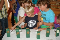 2012-sparvereinsausflug_009