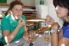 2012-sparvereinsausflug_016