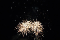 SONY DSC
