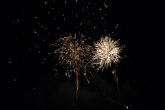 SONY DSC