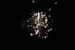 SONY DSC