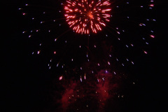 SONY DSC
