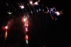 SONY DSC