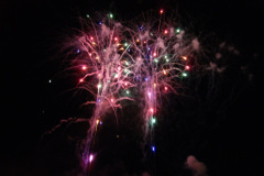 SONY DSC