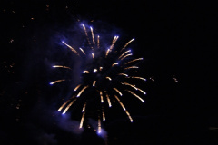 SONY DSC