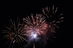 SONY DSC