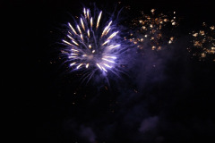 SONY DSC