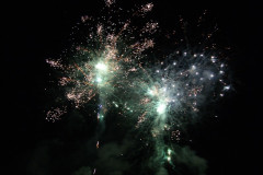 SONY DSC