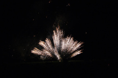 SONY DSC