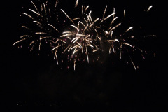 SONY DSC