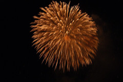 SONY DSC