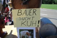 2010-Milchwagerlfestzug_020