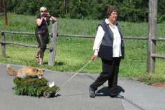 2010-Milchwagerlfestzug_031