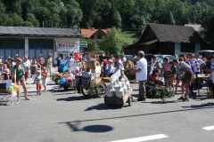 2010-Milchwagerlfestzug_064
